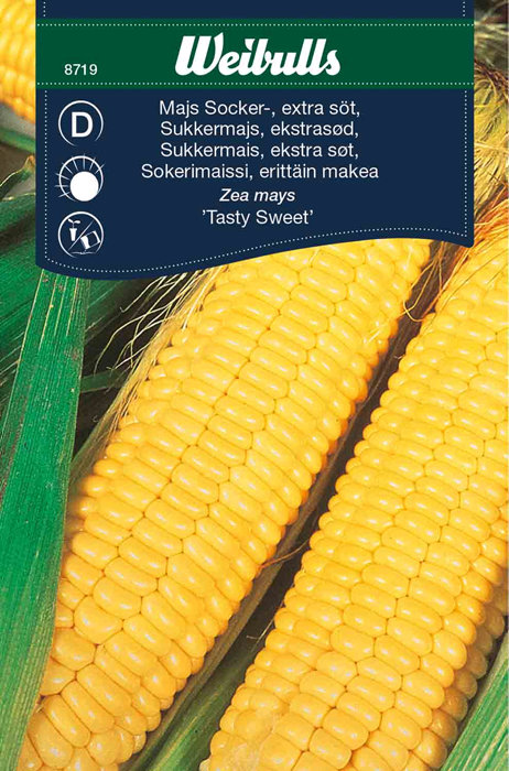 Sukkermais 'Northern extra sweet'